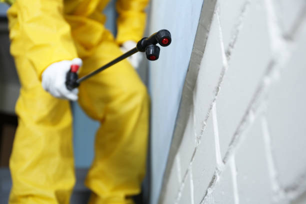 Best Emergency Pest Control  in Broadview, IL